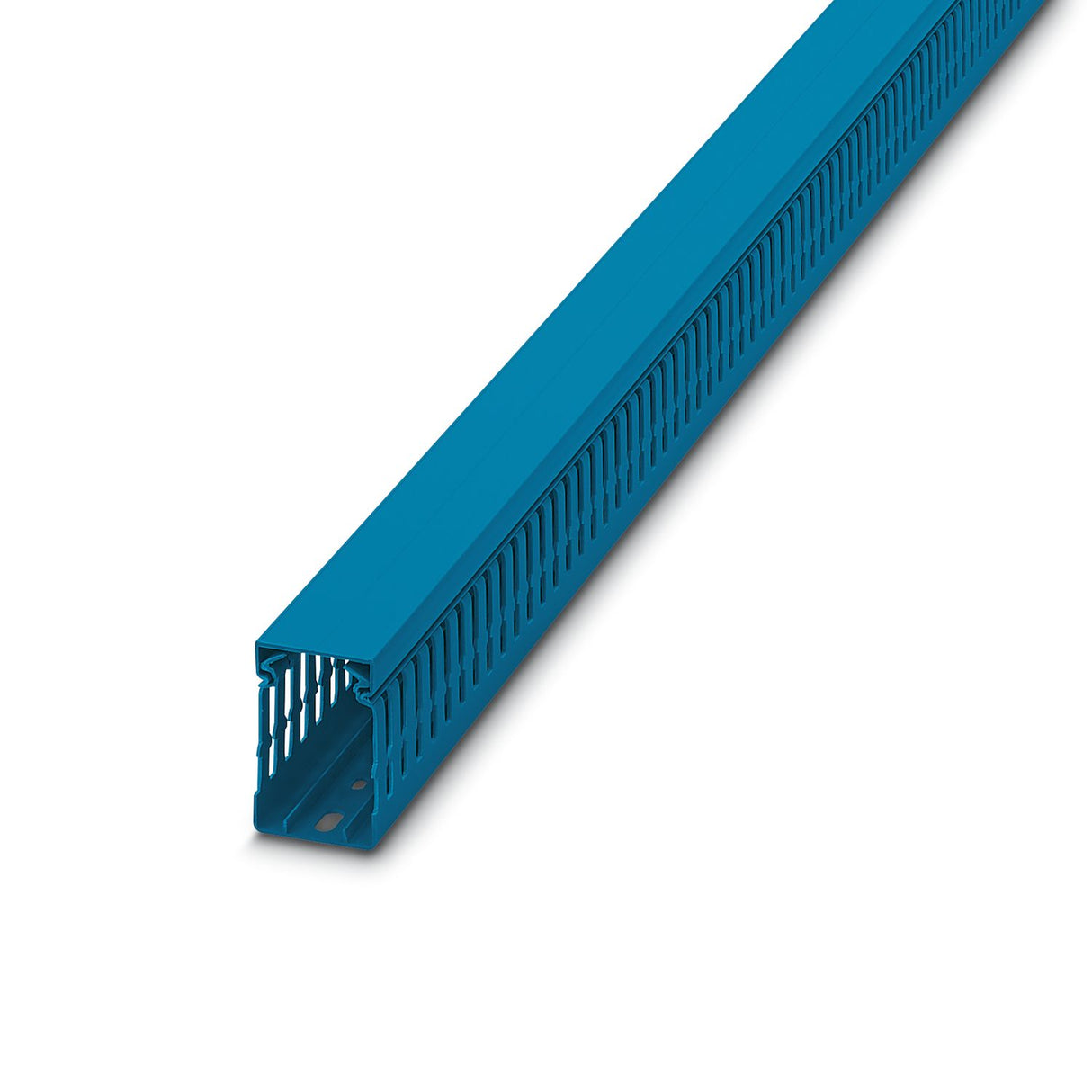 3240310