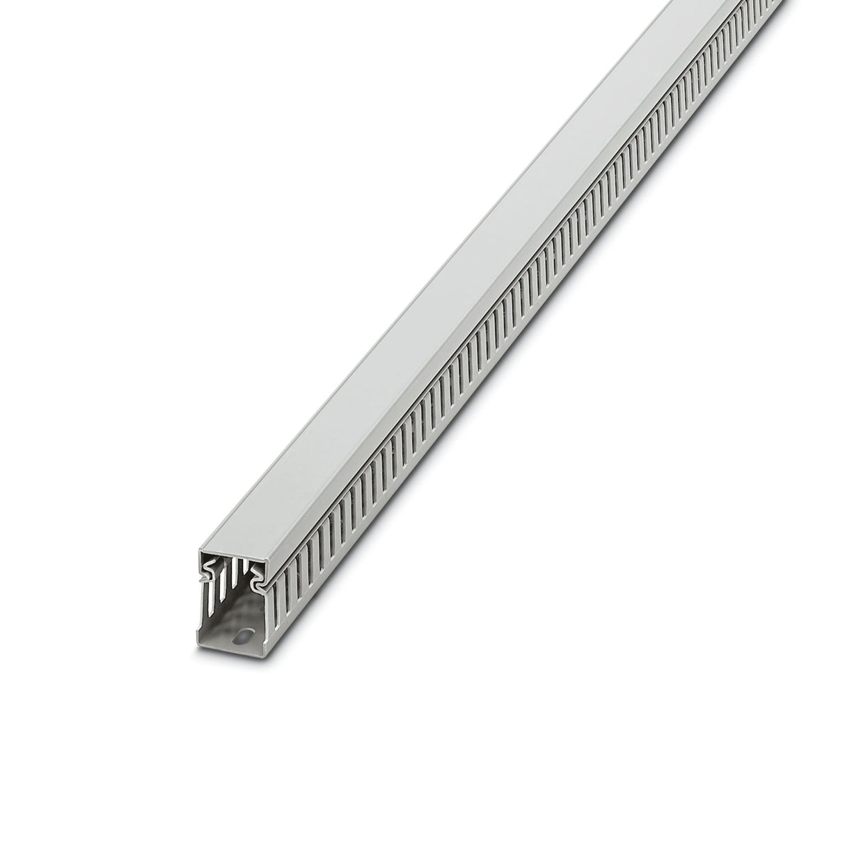 3240344