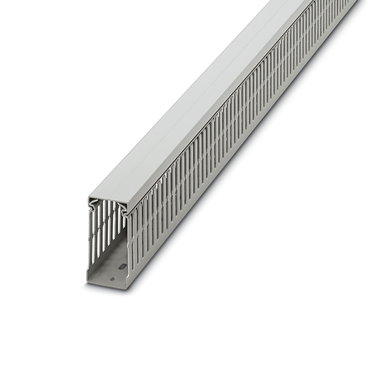 3240350