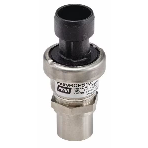 P599AAPS101K