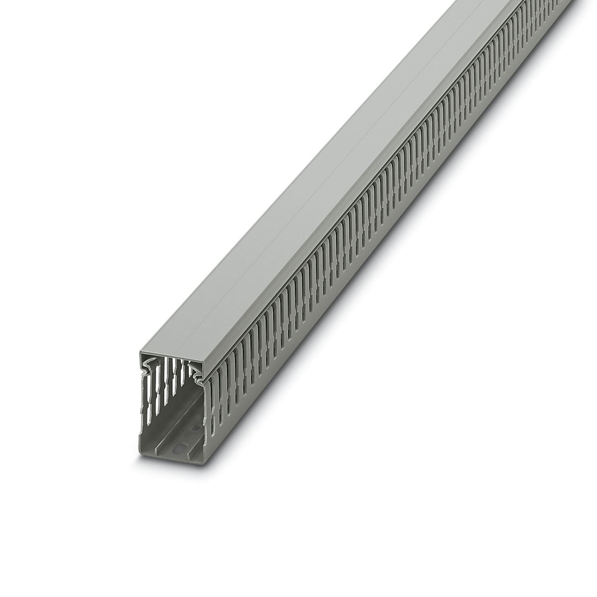 3240192