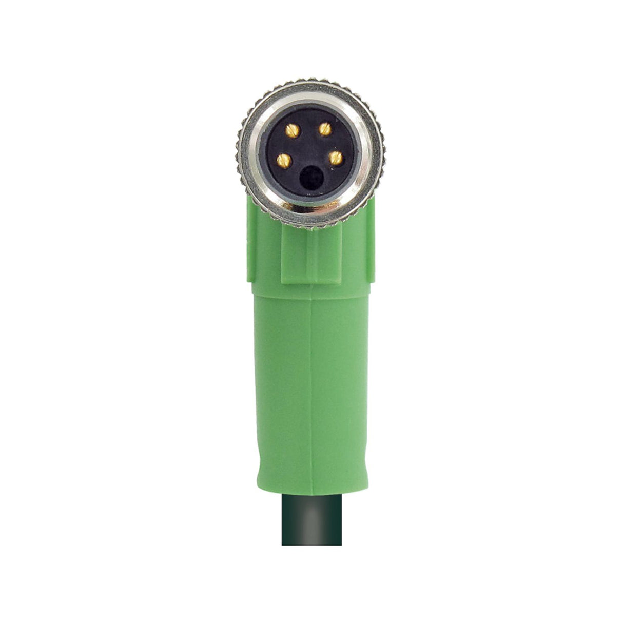 1681826
