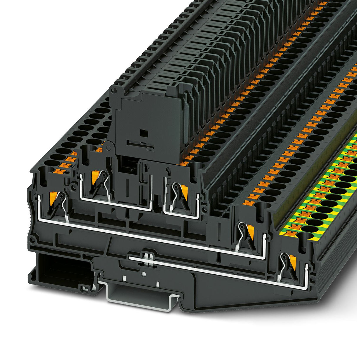 3002604
