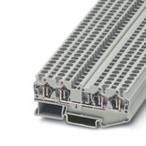 3031445
