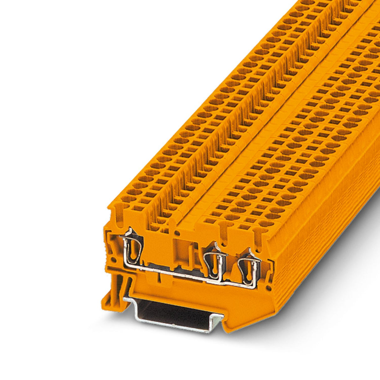 3031982