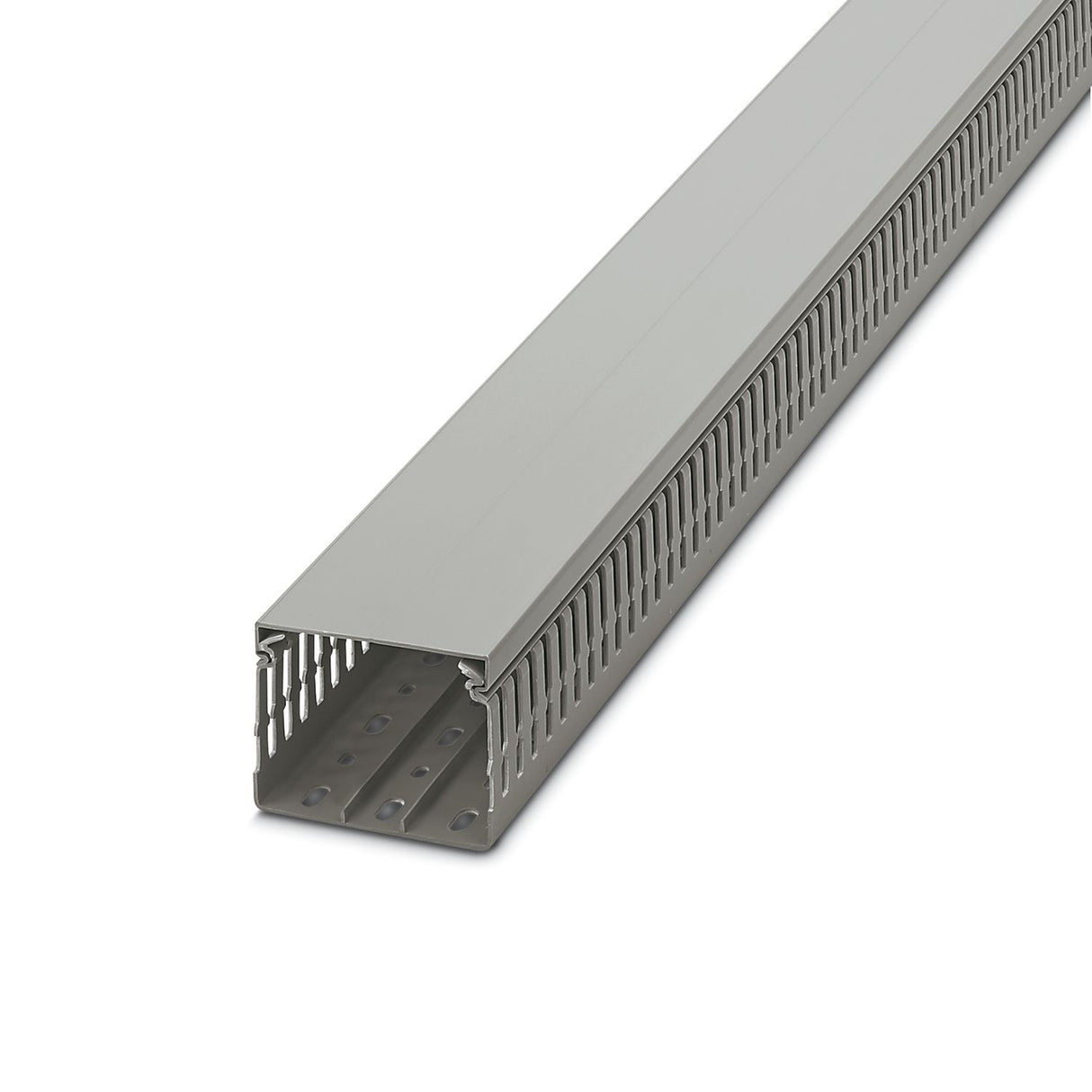 3240194