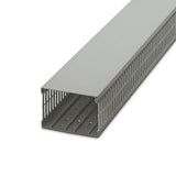 3240202