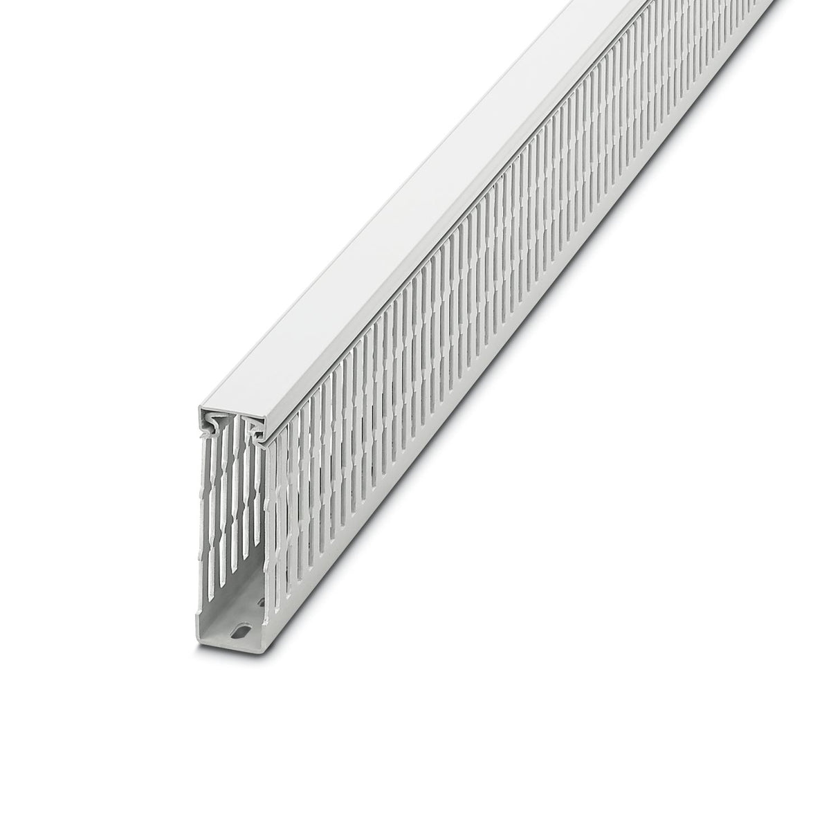 3240623