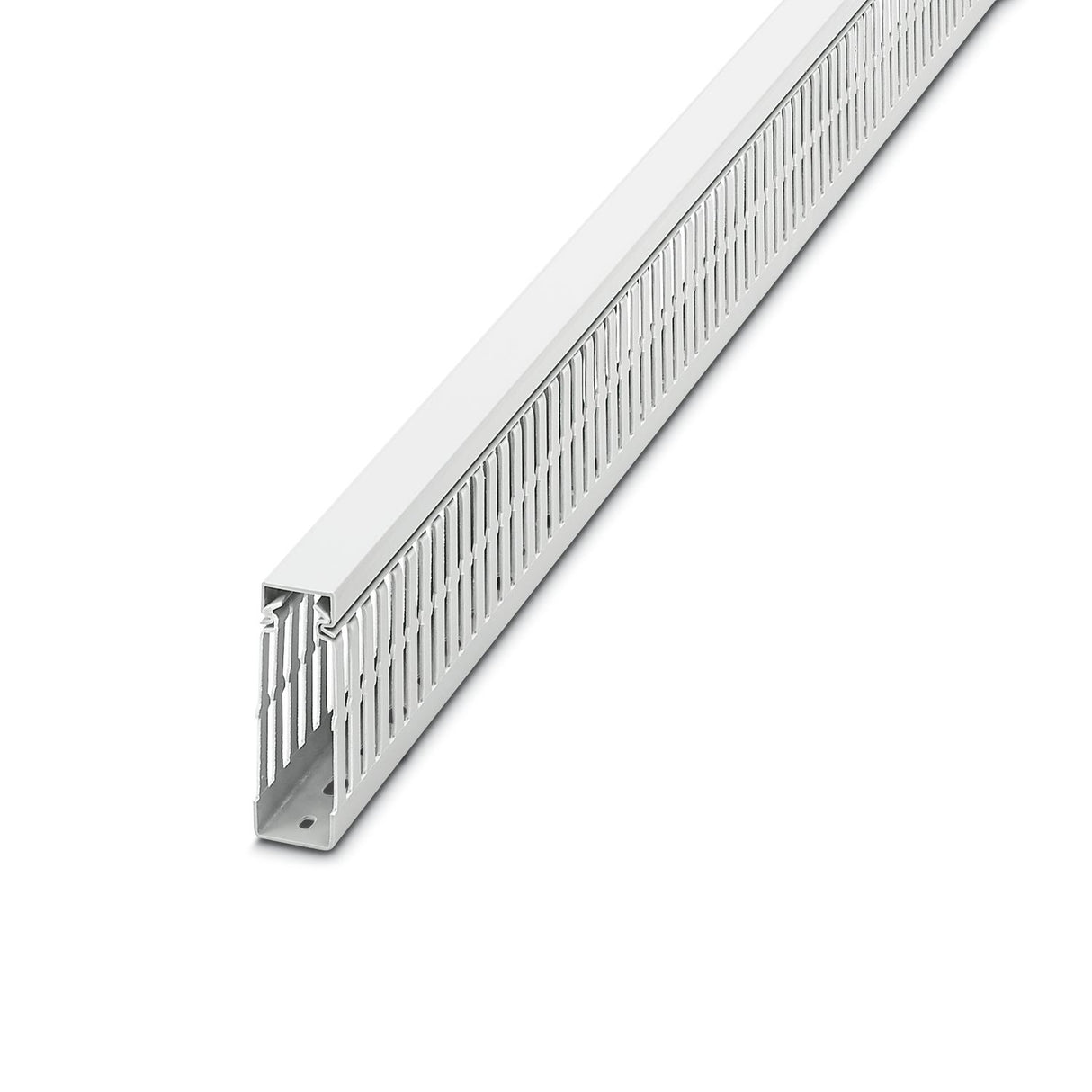 3240619