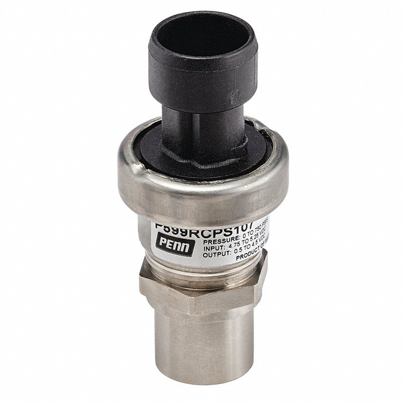 P599RCPS101K