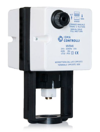 MVB46