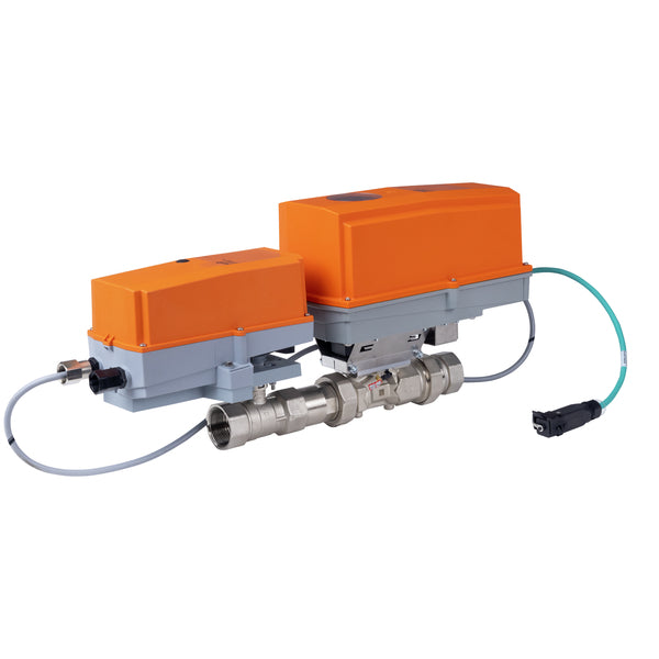 EV200+ARX-E N4 | Belimo | Electr 2W PICCV 24V  2" GPM 66 N4