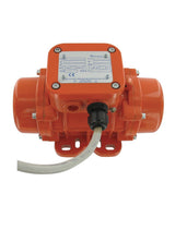 EBV-2