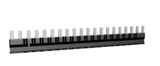 RSLZ2