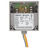 RIBXLCV | Functional Devices | Transducer and Relay Combination 10 Am