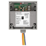 RIBX24BV | Functional Devices | Transducer and Relay Combination 20 Am