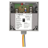RIBXLCEV | Functional Devices | Transducer and Relay Combination 5 Amp