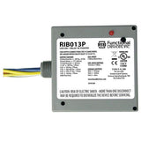 RIB013P | Functional Devices | Relay, Control