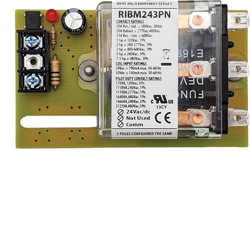 RIBM243PN | Functional Devices | Relay, Control