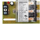 RIBM243PN | Functional Devices | Relay, Control