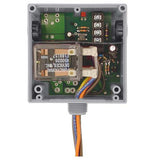 RIBTE24P | Functional Devices | Low Input/Optoisolated Relay 20 Amp DP
